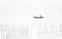 油画——刘洁智 摄