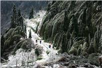 冰雪回家路