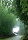 出山