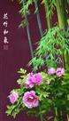 花竹和气