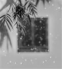 雪竹图