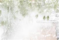 风雪竹叶行