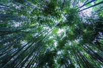 携手向上