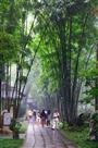 草堂竹景