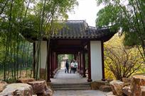 竹园风景