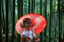 《翠竹倩影》