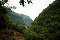 《竹林深处》