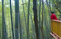 《留恋》
