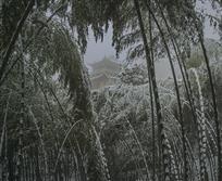 古刹钟声伴瑞雪