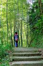 上学路上