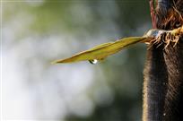 雨露滋润
