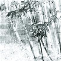 清风竹影