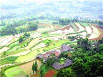青神梯田之天池六