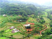 中岩后山二