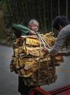 收获黄金