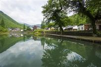 美丽竹乡（1）