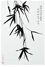 竹韵