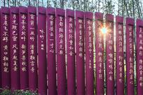 《光彩竹诗》