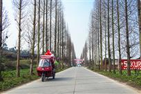 《乡间公路》