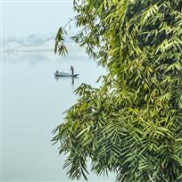 《竹林江边》