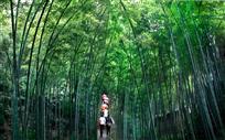 竹林小路