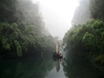 竹林深处