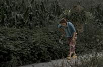背草的农妇