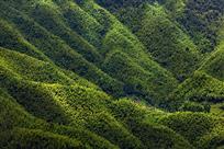 竹山青青有人家