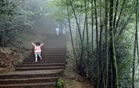 她从仙境来
