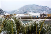 瑞雪兆丰年
