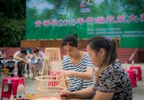 技能比赛