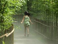 我想飞