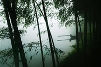 竹林通幽处