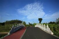 中国首家竹林湿地公园之四