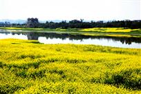 春满岷江