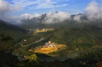 绿色家园