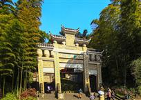 竹山林海之门