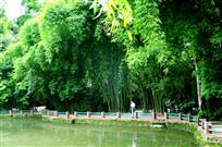 《翠竹湖畔》