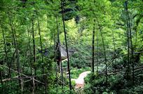 《竹林亭路》