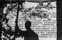 中岩竹影