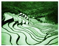 绿竹山村