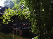 池上竹