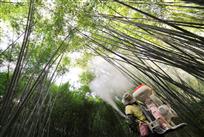 洒下满山的希望