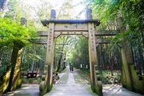西湖新十景——云栖竹径