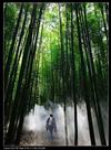 竹乡