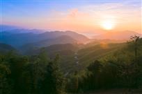 竹海朝阳