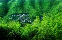 标题：《竹茎疏处见前村》