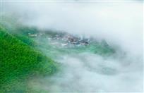 标题：《竹林人家》