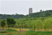 雨后