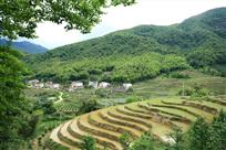 梯田人家